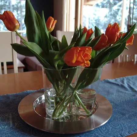 Hotel Harkaniemi Cottages *