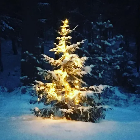 Harkaniemi Cottages Mikkeli